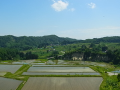 棚田風景