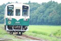 1両揺られて