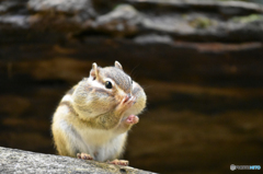 食べすぎ注意！