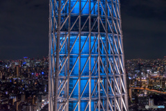 Skytree and Night view