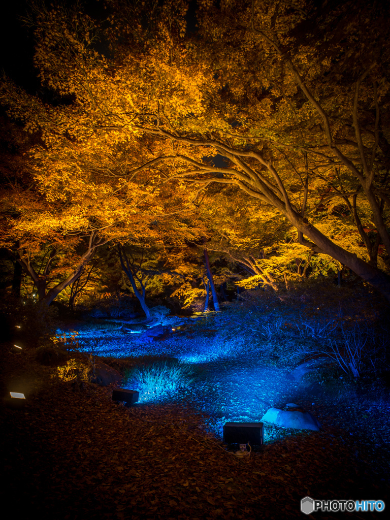 六義園