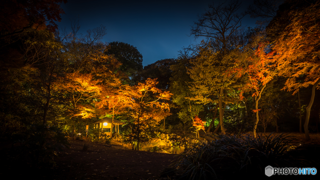 六義園