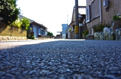 IMGP0762