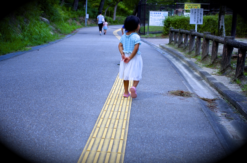 散歩道