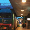 ガリバルディ駅　2013