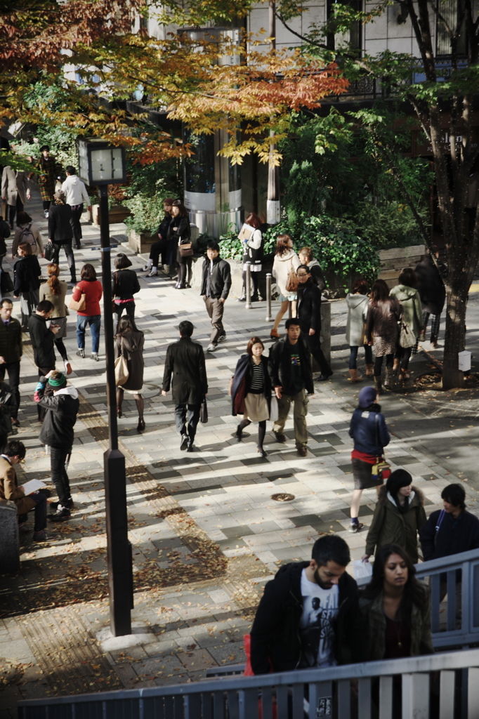 表参道　オータム