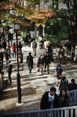 表参道　オータム