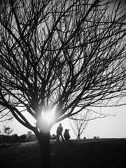 西郷山公園　2011