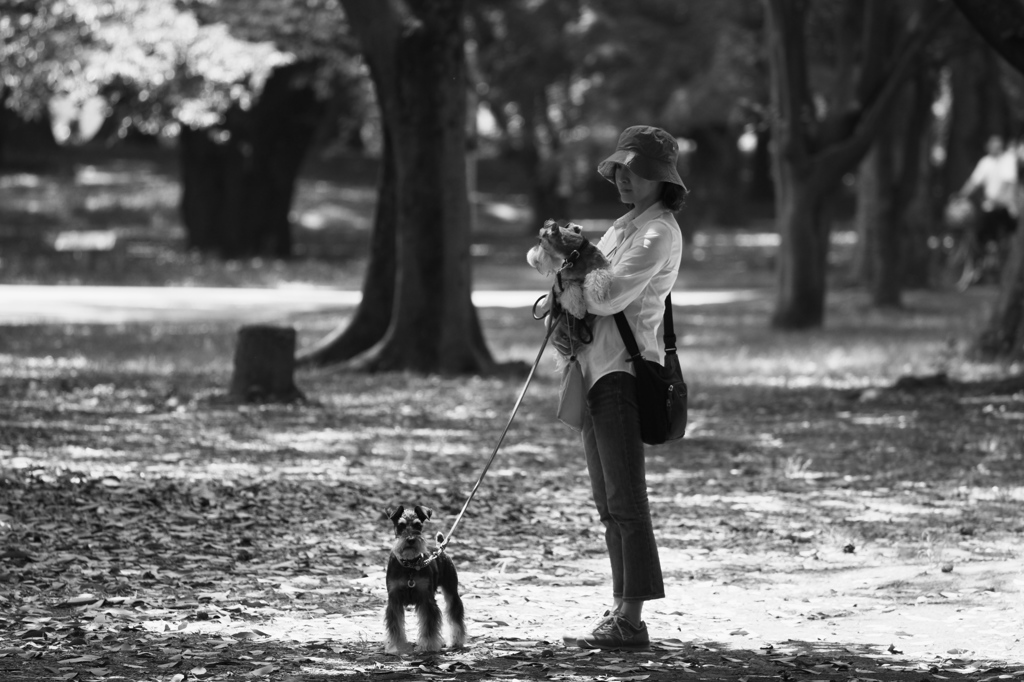 代々木公園　モノクローム