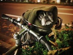 ET