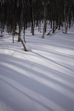 雪山