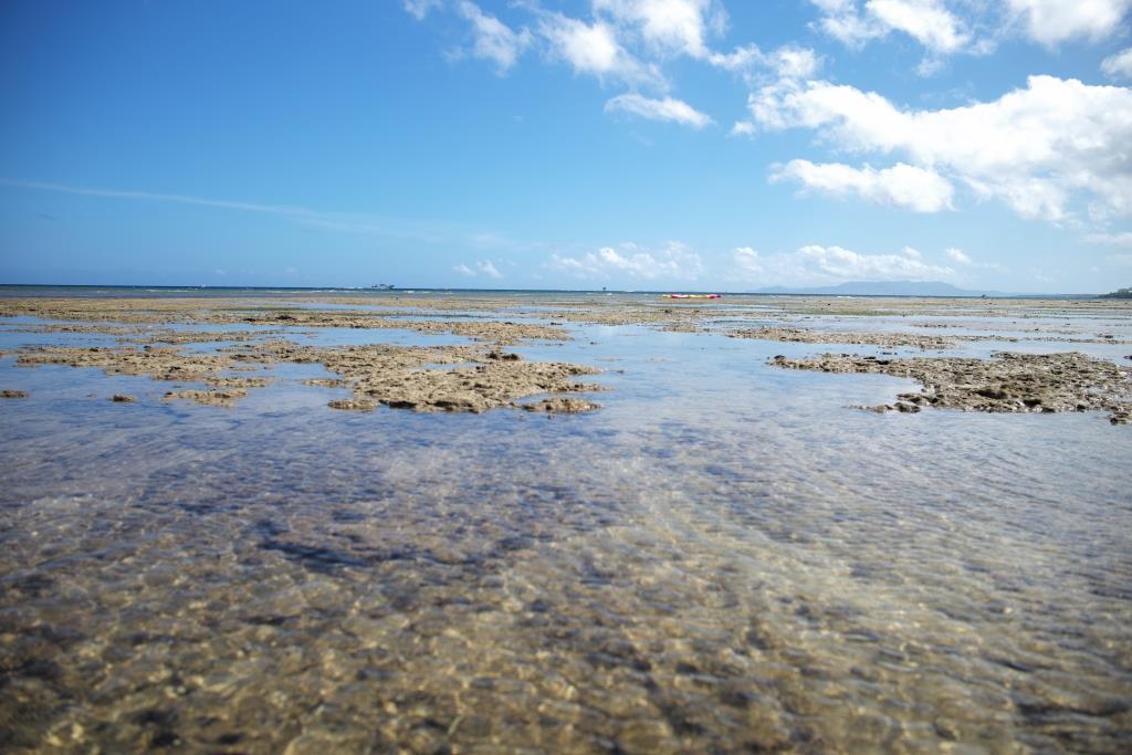 夏の沖縄