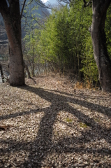 好きな風景