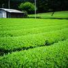 お茶