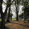 野毛山公園