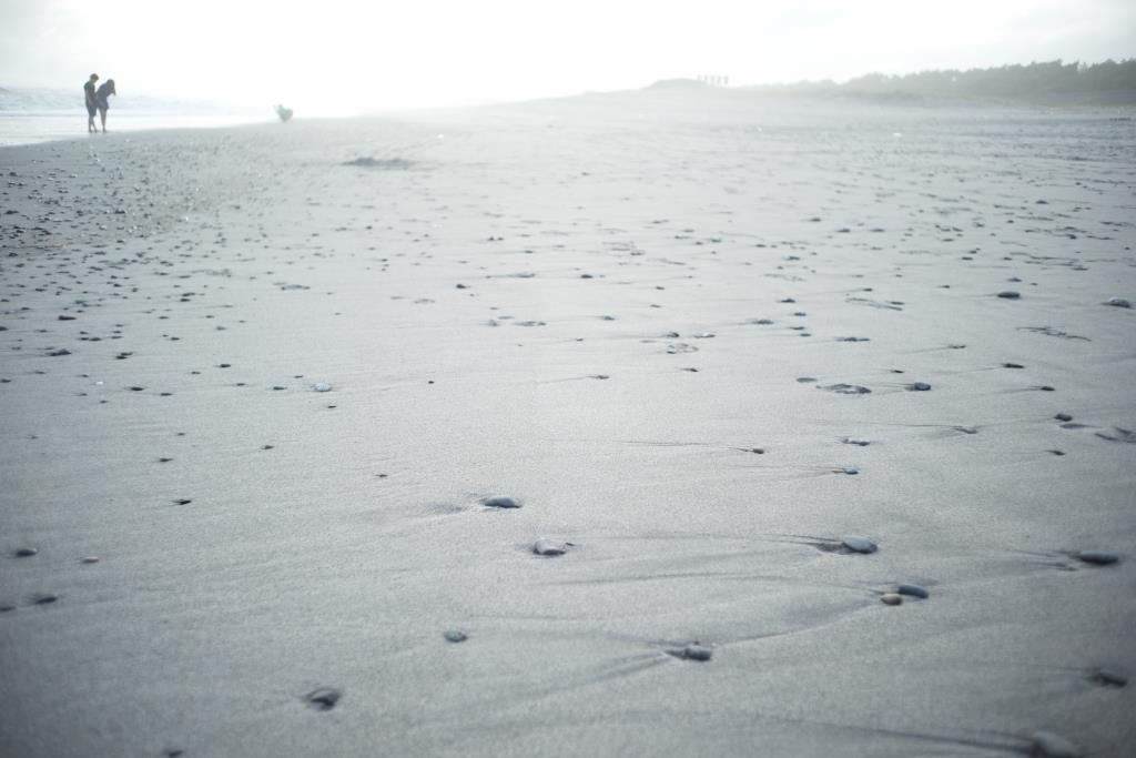 砂浜