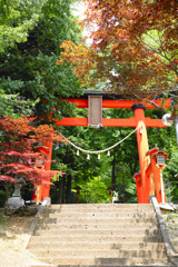 新倉富士浅間神社　鳥居