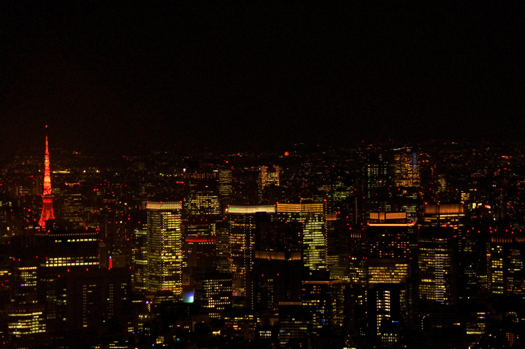 東京スカイツリーからの夜景