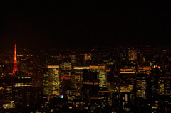 東京スカイツリーからの夜景