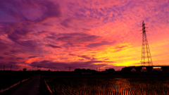 20150710-DSCF3278
