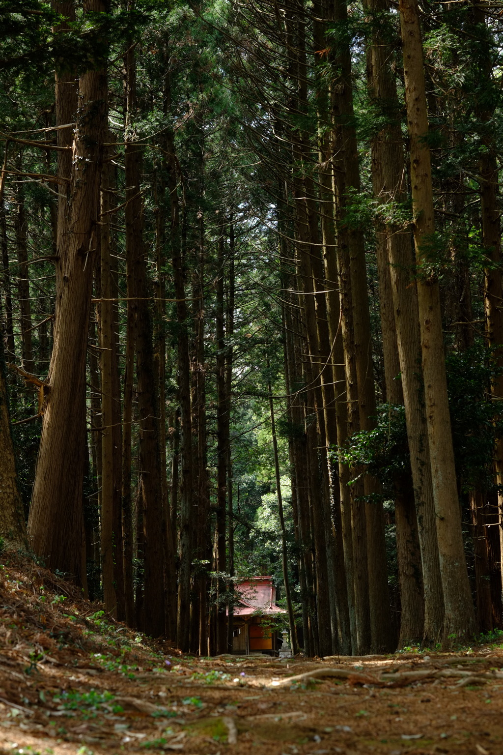 参道