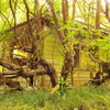 廃な小屋