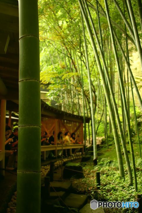 竹の中で
