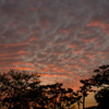 夕焼け雲
