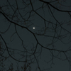 宵の明星
