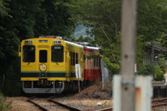 ゆったり待機…