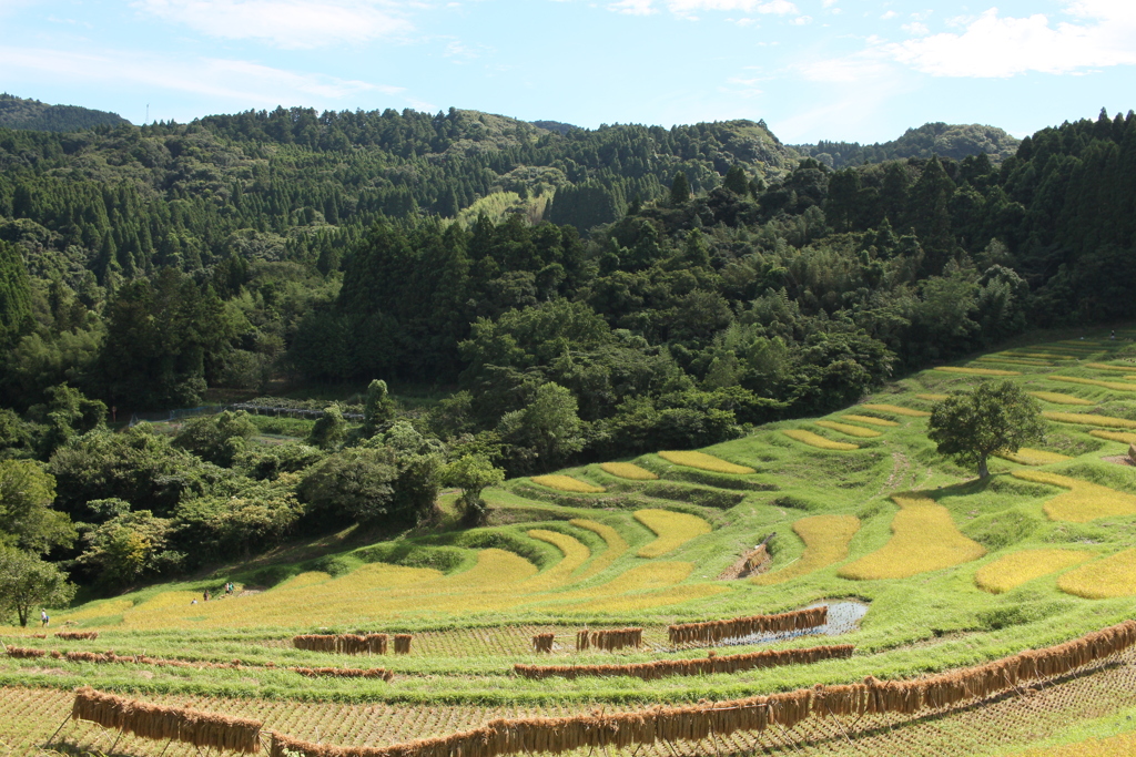 懐かしい風景