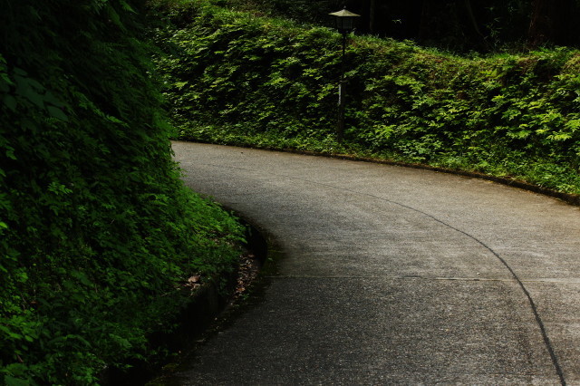 険しい道
