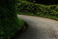険しい道