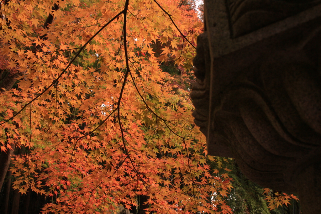 境内の紅葉