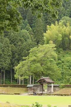 自然との調和