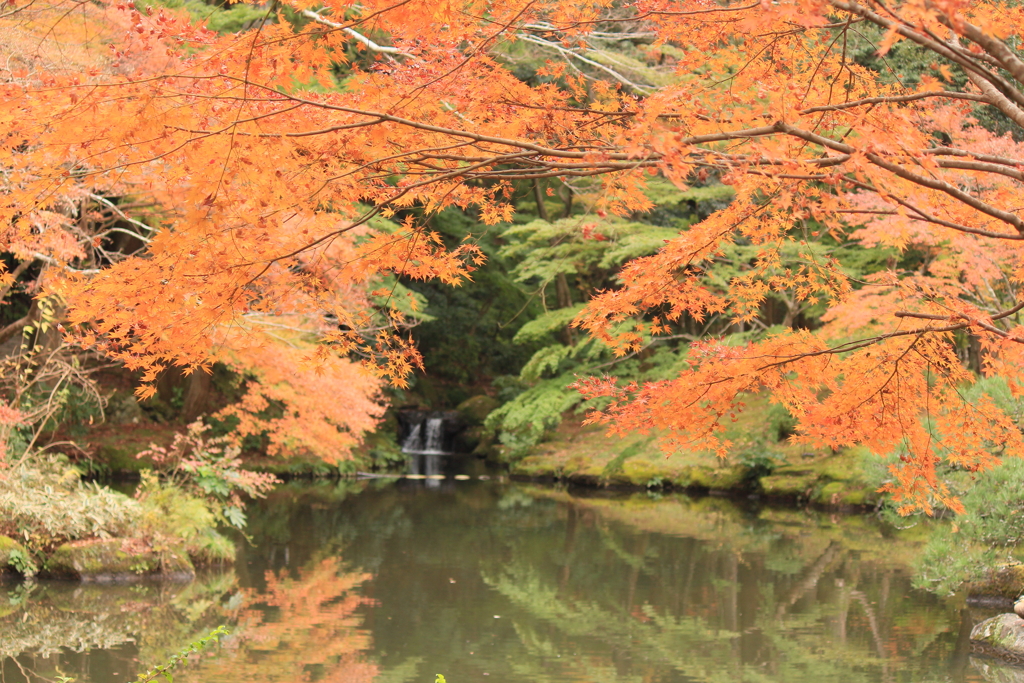 紅葉の演出