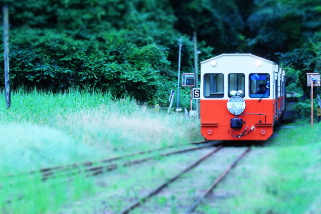 トロッコ列車がやって来た
