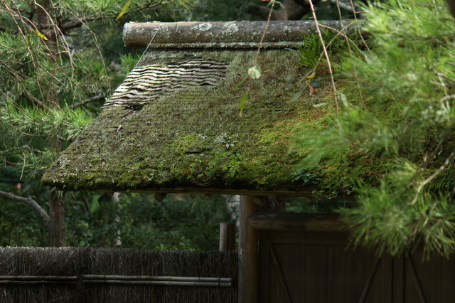 趣のある山門