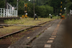電車はいつ…