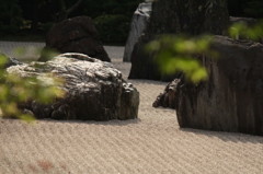 石の光と庭