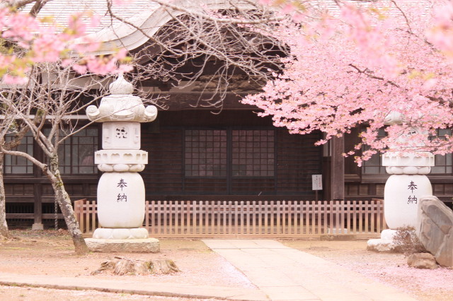 彩り