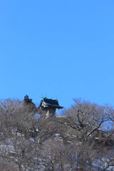 山頂の神社