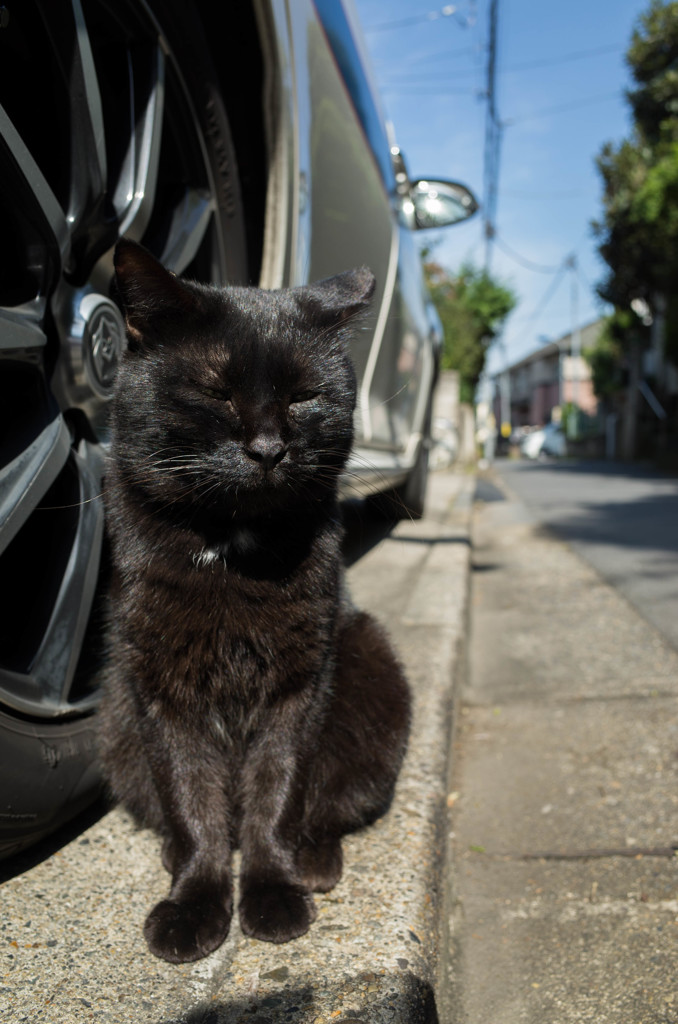 おねむ