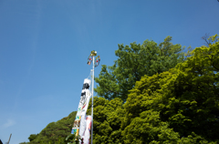 のぼります