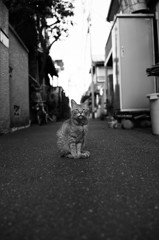 佇む
