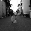 佇む