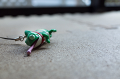 本当の気持ち隠しているそうカメレオン