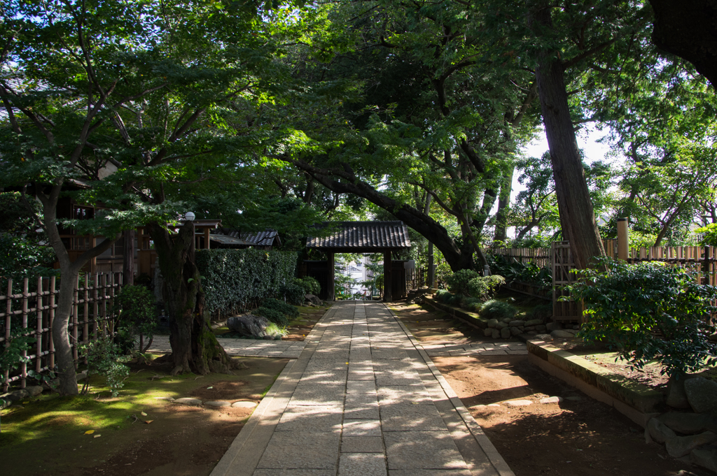 近所の神社