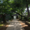 近所の神社