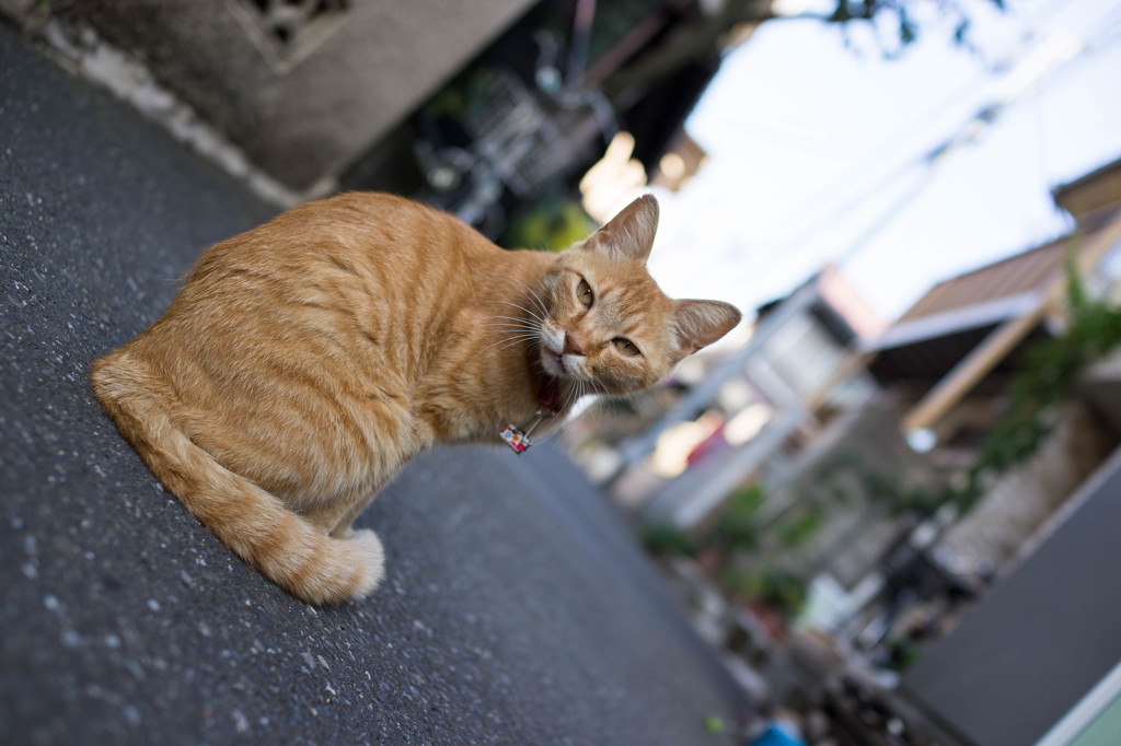 「ん」